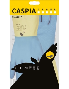 CASPIA 2
